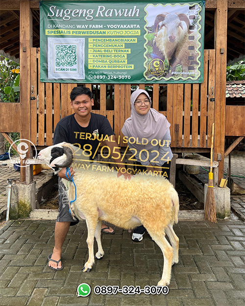 Post 36