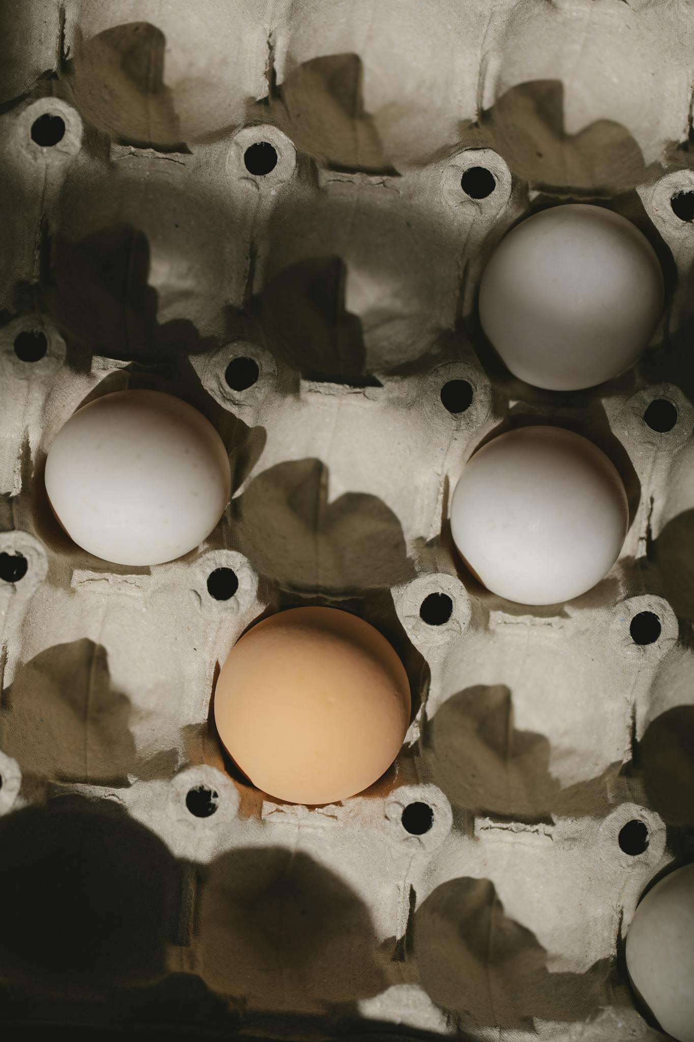 Carton box with white and brown eggs in farm