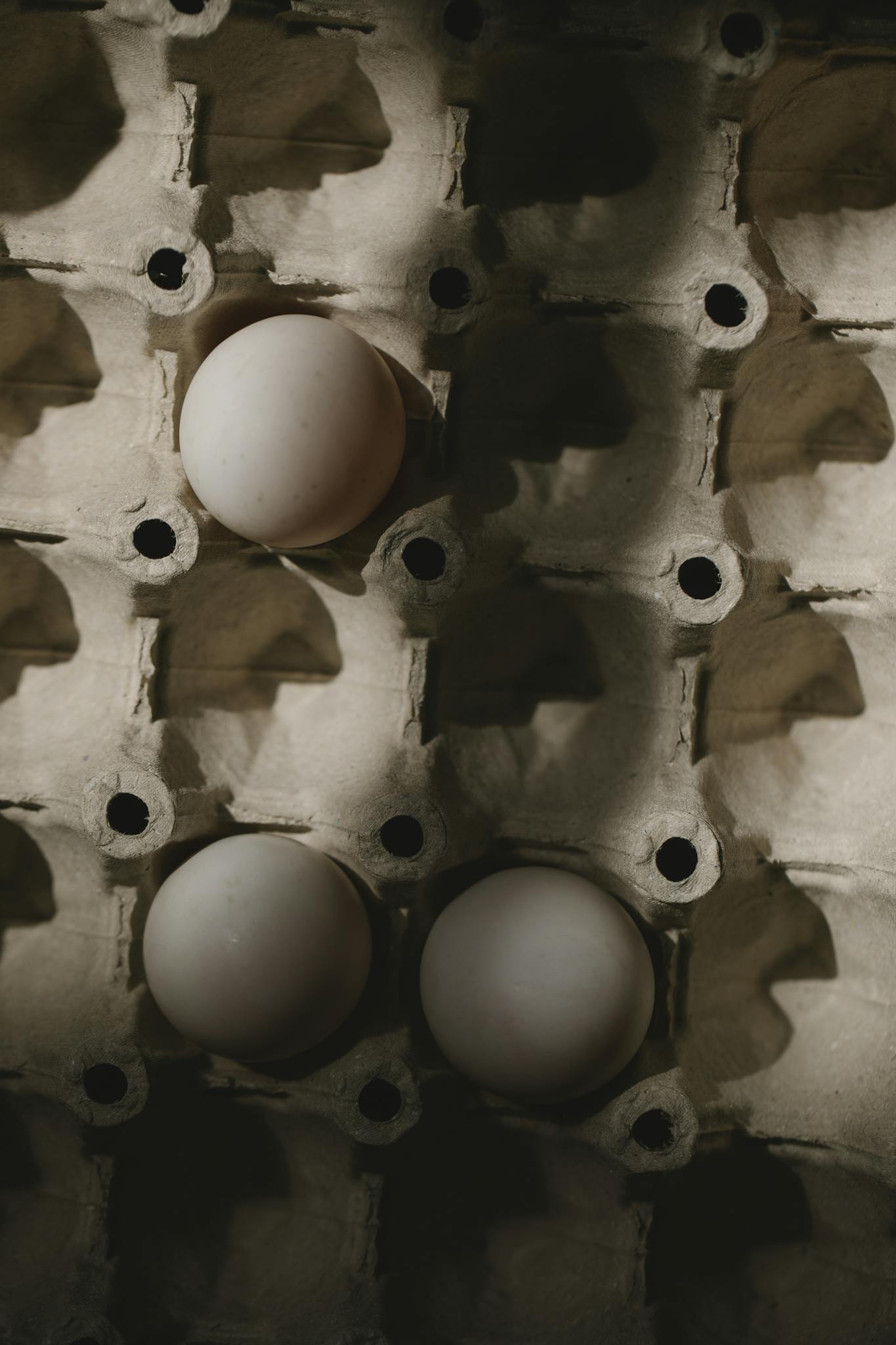 Raw white chicken eggs in carton container in sunlight