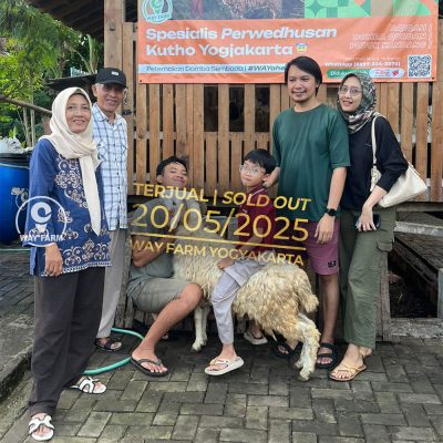 WF-087 | Domba Qurban Jantan - 32Kg (SOLD OUT)